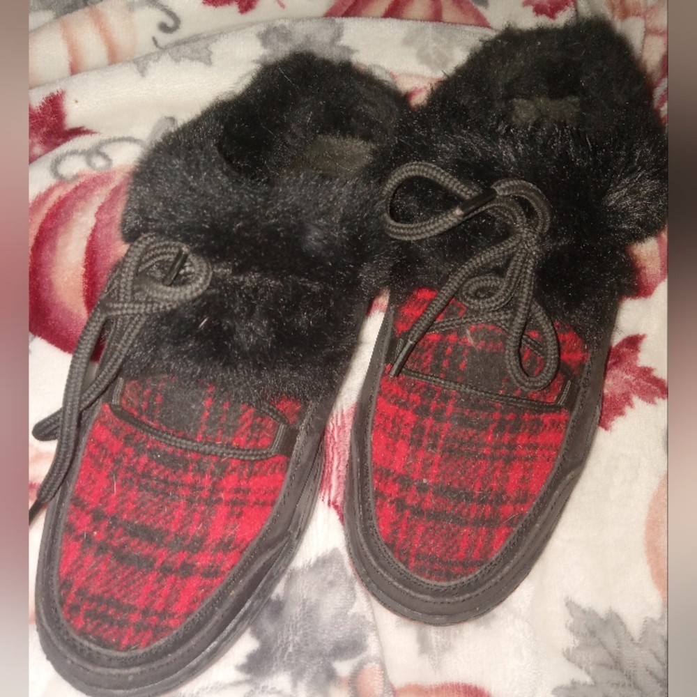 Beartraps Slides